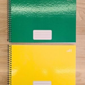 Caderno de Desenho Espiral (96 FLS)